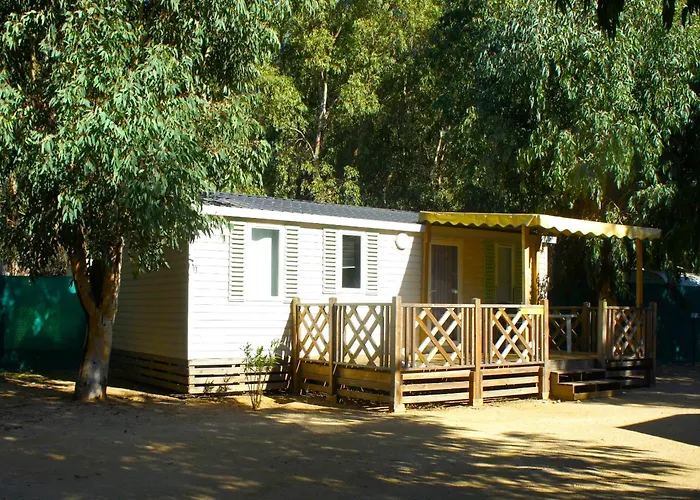 Hotel adatto agli animali: Camping Dolce Vita